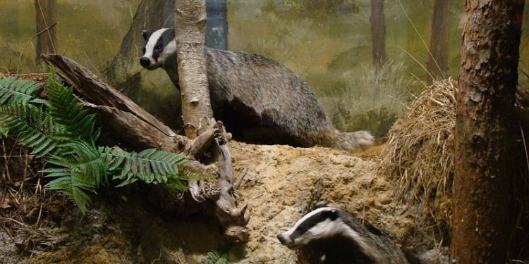 Mei-fluitjes maken natuurdiorama Jubileum 