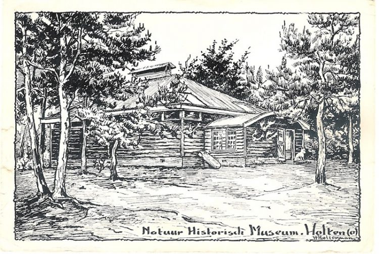 Natuurdiorama Holterberg al vijfenzeventig jaar springlevend natuurdiorama korhanen 