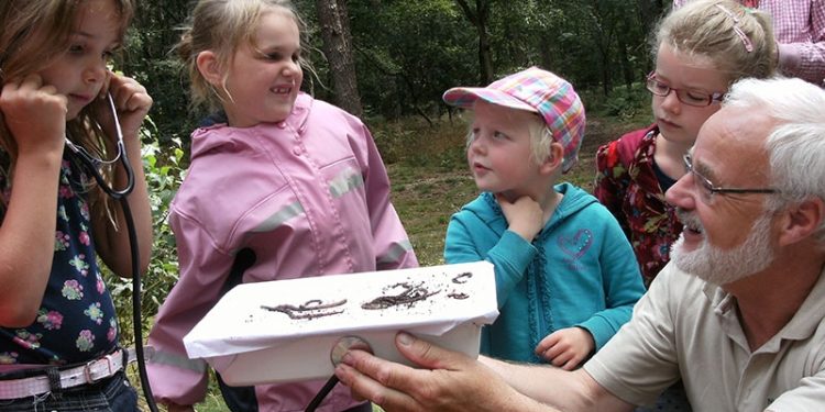 HoltensNieuws.nl Nature experience op de Holterberg Nature experience op de Holterberg natuurdiorama