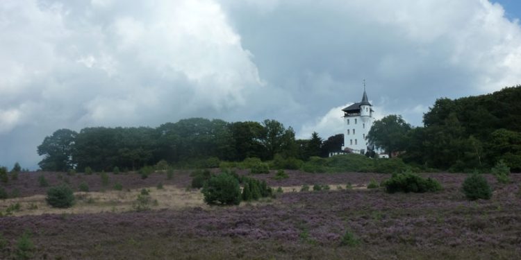 HoltensNieuws.nl Heide experience op de fiets Heide experience op de fiets natuurdiorama