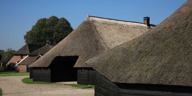 Fietstochten langs boerderijen in Salland 