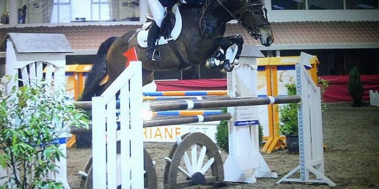 Springconcours Bergruiters 7 en 8 september 