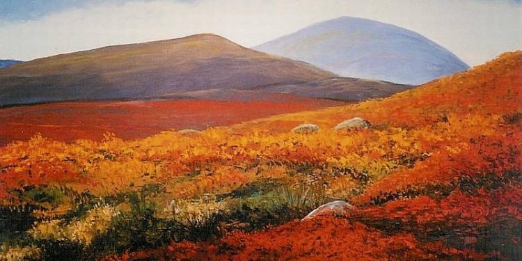 Jubileum Expositie Kees Bos natuurdiorama Jubileum 