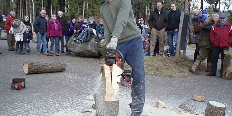 Herfst op de Holterberg natuurdiorama 