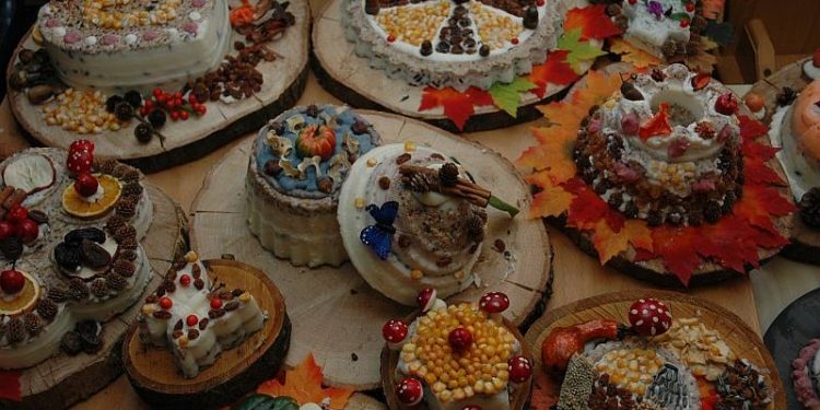 HoltensNieuws.nl Herfst Fair bij de Bosschool Herfst Fair bij de Bosschool