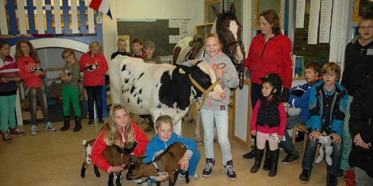 HoltensNieuws.nl Dierendag op de Bosschool Dierendag op de Bosschool