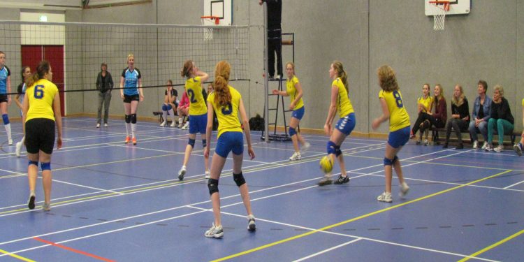 Geslaagde volleybalclinic Mintonette bij De Regenboogschool mintonette 