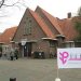 Verdwijnen wilde korhoen lijkt onafwendbaar sallandse heuvelrug 