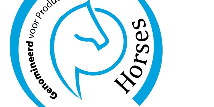 HoltensNieuws.nl Kwartier schuilstallen genomineerd Kwartier schuilstallen genomineerd