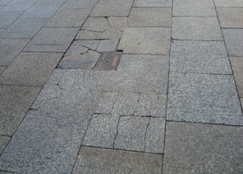 In één maand vijf medewerkers veertig jaar in dienst nijkamp Jubileum 