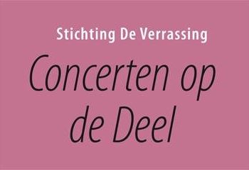Uitslagen gemeenteraadsverkiezingen Rijssen-Holten vvd lokaal gemeentebelang d66 cda 