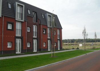 De hei op 