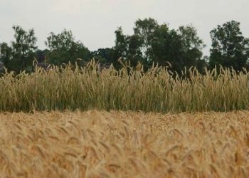 Eerste Streek- en Duurzaamheid evenement tastoe smidsbelt nijkamp duurzaam holten 