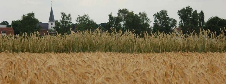 Holtense Voorjaarsschoonmaak smidsbelt nijkamp duurzaam holten 