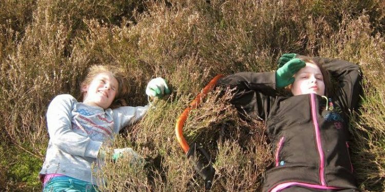 HoltensNieuws.nl De hei op De hei op