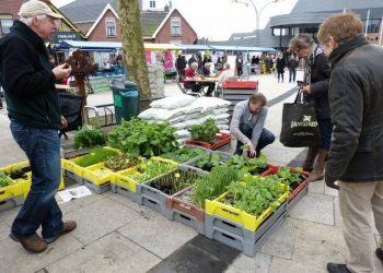 Eerste Streek- en Duurzaamheid evenement tastoe smidsbelt nijkamp duurzaam holten 