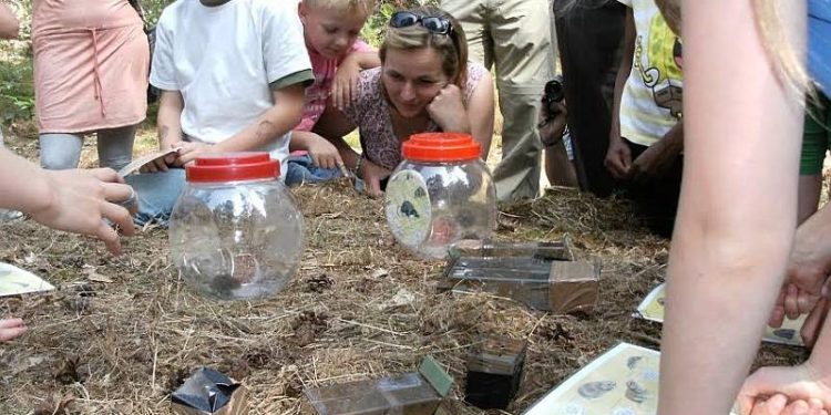 HoltensNieuws.nl Vakantie in het bos Vakantie in het bos natuurdiorama