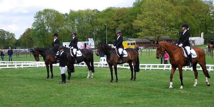 Holtens Horse Event kroepin 