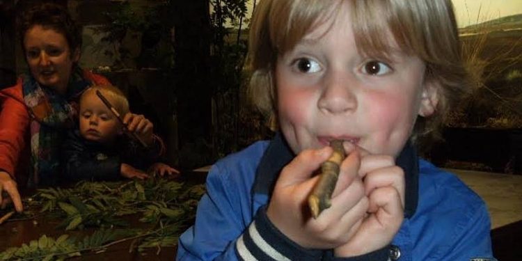 Meifluitjes maken natuurdiorama 