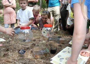 Holterbergtour voor 35e keer wielervereniging sallandse heuvelrug beuseberg 