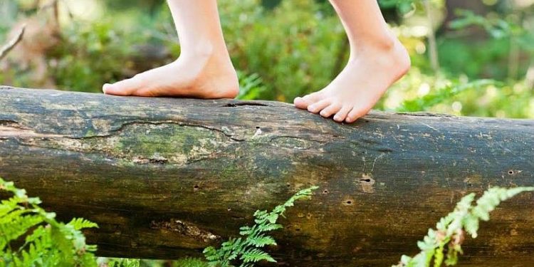 Wilde Buiten Dag op Landal Twenhaarsveld 