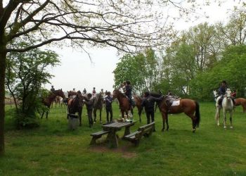 Mogelijkheid ruiters SGW trainingsserie bij Snorrewind snorrewind 
