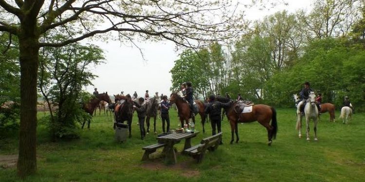 Rit te paard bij Snorrewind snorrewind 