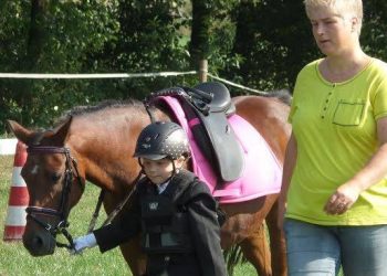 Mogelijkheid ruiters SGW trainingsserie bij Snorrewind snorrewind 