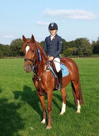 Finale KNHS springcompetitie Manege Snorrewind snorrewind nijkamp 