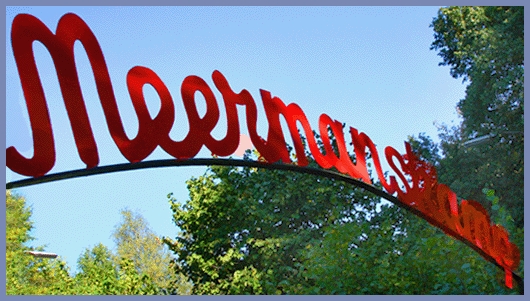 V.V.Holten winnaar Stentor veldentest 2014 vvholten gemeente 
