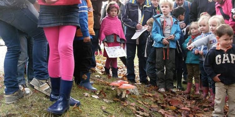 Herfstvakantie op de Holterberg sallandse heuvelrug natuurdiorama 