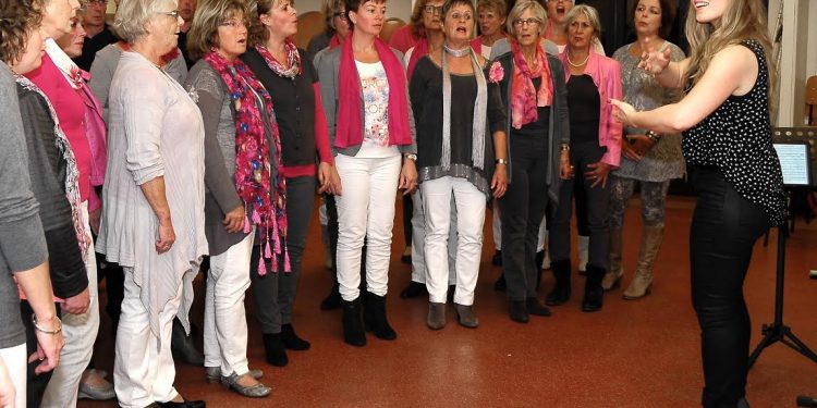 HoltensNieuws.nl Lustrumconcert Amazing Lustrumconcert Amazing kulturhus bibliotheek amazing