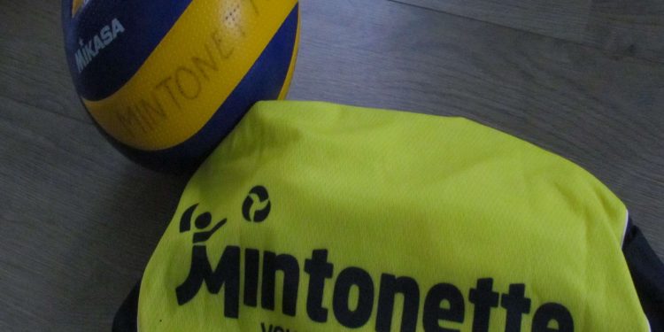Opgave recreatief volleybaltoernooi Mintonette mintonette 