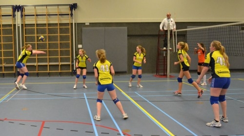 Volleybal Mintonette A2 sluit seizoen af met mooie overwinning mintonette 