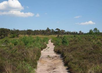 Eerste Kinderstraat in Holten viavie welzijn 