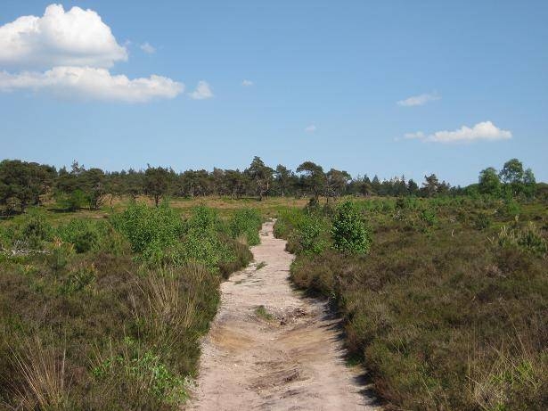 6e Midwinterwandeltocht viavie welzijn kulturhus 