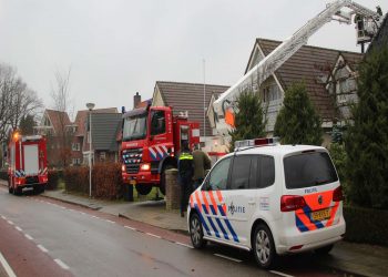 Holten wint topper van ABS. 