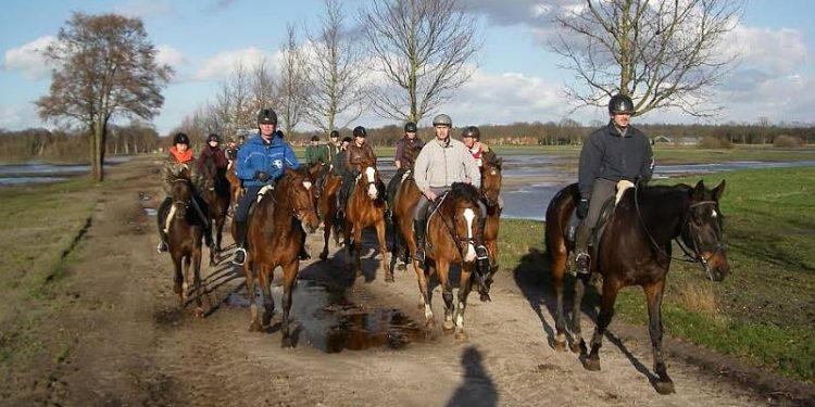Barre, Italiaanse Tocht te paard snorrewind 