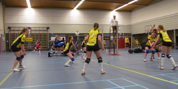Volleybal dames 1 met goed gevoel van het veld mintonette 