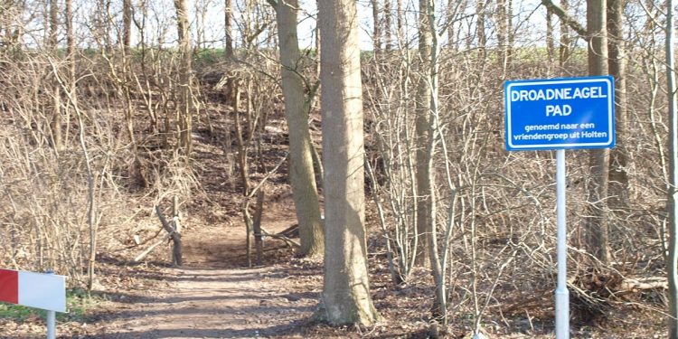 HoltensNieuws.nl Oud binnendoorpad de Wippert in ere hersteld Oud binnendoorpad de Wippert in ere hersteld espelo dijkerhoek