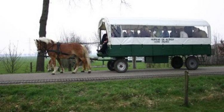 HoltensNieuws.nl Zwerfvuilactie met paard en wagen Zwerfvuilactie met paard en wagen smidsbelt duurzaam holten