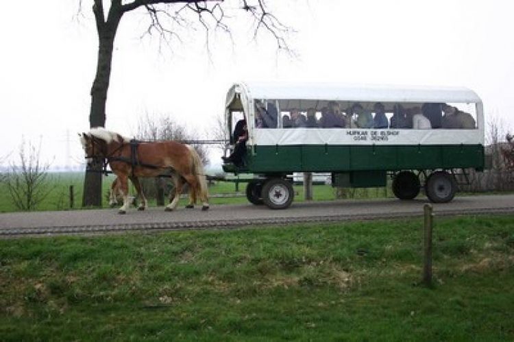 Zwerfvuilactie met paard en wagen smidsbelt duurzaam holten 