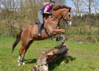 Avondvierdaagse Holten van start smidsbelt avond4daagse holten avond4daagse 