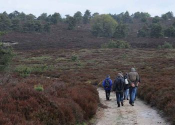 Holterbergtour voor 35e keer wielervereniging sallandse heuvelrug beuseberg 