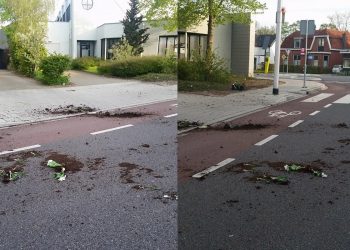 Hennepkwekerij ontmanteld politie 