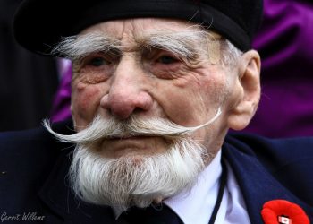 Bevrijdingsdag 2015 fotoalbum 