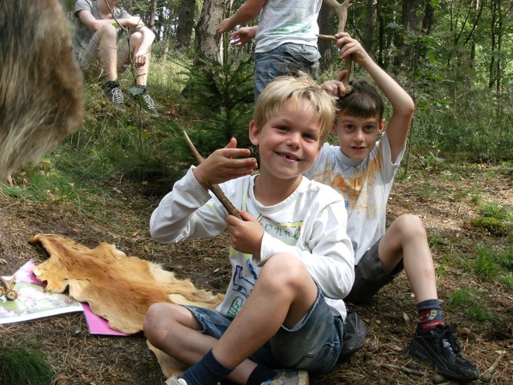 Nature Experience op de Holterberg natuurdiorama 