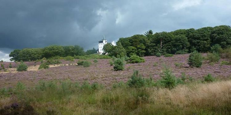 HoltensNieuws.nl Heide Experience op de fiets Heide Experience op de fiets natuurdiorama