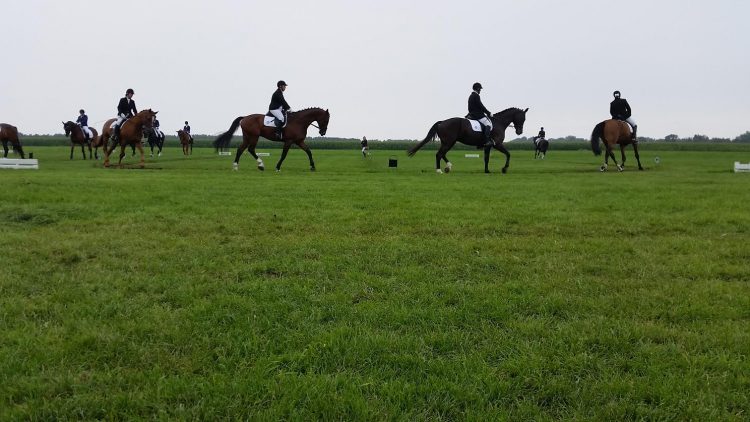 Viertal Snorrewind naar Nederlandse Kampioenschappen snorrewind 