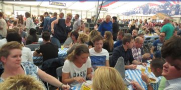 HoltensNieuws.nl Ruiten vernield Ruiten vernield politie